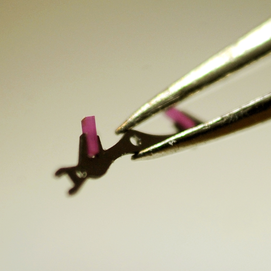 Haldimann094.jpg